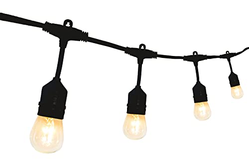 SFEG Indoor/Outdoor String Lights - Edison Bulb