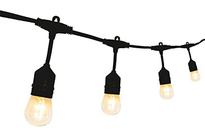 SFEG Indoor/Outdoor String Lights - Edison Bulb