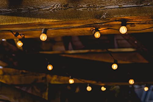 SFEG Indoor/Outdoor Hanging String Lights