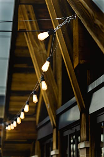 SFEG Indoor/Outdoor String Lights - Edison Bulb
