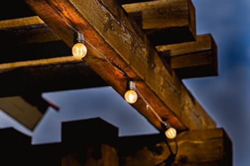 SFEG Indoor/Outdoor Hanging String Lights